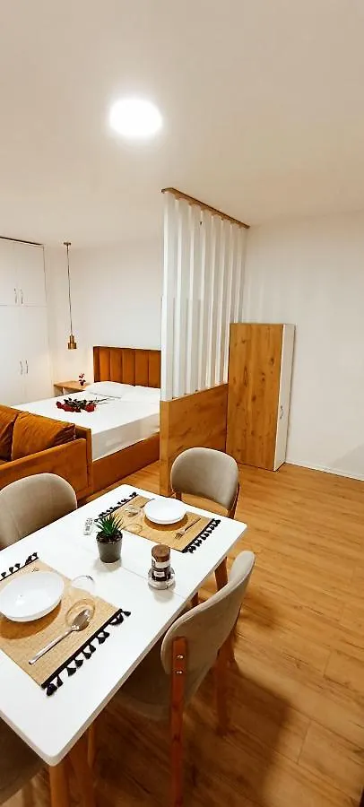 Selvia Apartament ティラナ