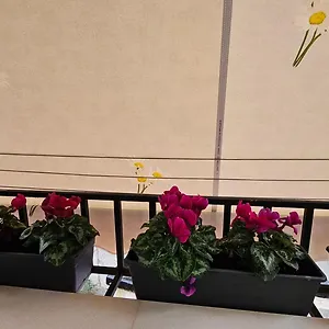 Appartamento Center, Tirana